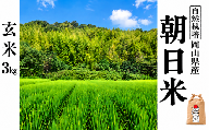 新米 令和８年度産 【先行予約】 瀬戸内 自然栽培米 「朝日」玄米 3kg  無農薬 無肥料  米 自然栽培 こめ 岡山県 瀬戸内市 さしすせそ