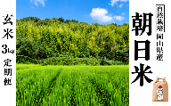 新米 令和８年度産 【先行予約】 瀬戸内 自然栽培米 「朝日」玄米 3kg 定期便 6ヵ月 無農薬 無肥料  米 自然栽培 こめ 岡山県 瀬戸内市 さしすせそ