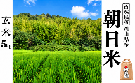 新米 令和８年度産 【先行予約】 瀬戸内 自然栽培米 「朝日」玄米 5kg  無農薬 無肥料  米 自然栽培 こめ 岡山県 瀬戸内市 さしすせそ
