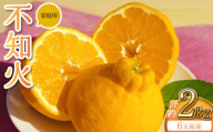 先行予約 家庭用 不知火 約2kg (6玉前後) 【2027年3月上旬〜6月下旬発送予定】しらぬい みかん ミカン 蜜柑 果物 くだもの フルーツ 熊本県産 九州産 国産 うちやま果樹園