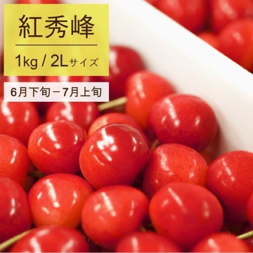 014-A07【さくらんぼ】2020年産紅秀峰500g×2パック