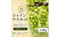 【家庭用】岡山県産シャインマスカット　計1.0kg(2房)【1779430】