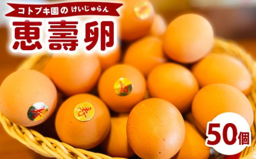 当社自慢の卵 恵壽卵 50個入り  |  卵 たまご タマゴ けいじゅらん 鶏卵 玉子 国産　※離島への配送不可 2845038 - 神奈川県相模原市