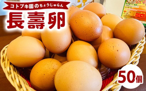 当社自慢の卵 長壽卵 50個入り  |  卵 たまご タマゴ ちょうじゅらん 鶏卵 玉子 国産　※離島への配送不可 2845040 - 神奈川県相模原市