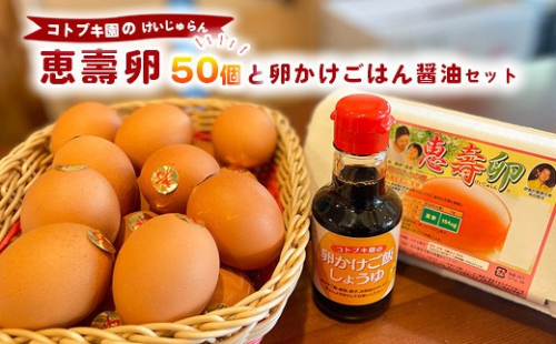 当社自慢の卵 恵壽卵 50個入り＋卵かけごはん醤油セット  |  卵 たまご タマゴ けいじゅらん 鶏卵 玉子 国産 卵かけご飯 TKG 醤油 セット　※離島への配送不可 2845041 - 神奈川県相模原市