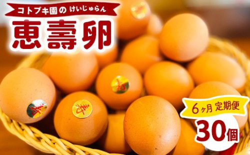 【定期便6ヶ月】当社自慢の卵 恵壽卵 30個入り | 卵 たまご タマゴ けいじゅらん 鶏卵 玉子 国産 定期便 6ヶ月 6カ月 6か月 先行予約 先行受付　※離島への配送不可 2845044 - 神奈川県相模原市