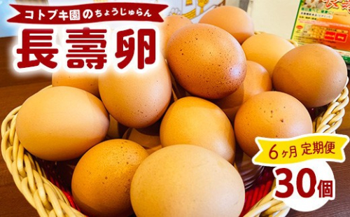 【定期便6ヶ月】当社自慢の卵 長壽卵 30個入り | 卵 たまご タマゴ ちょうじゅらん 鶏卵 玉子 国産  定期便 6ヶ月 6カ月 6か月 先行予約 先行受付　※離島への配送不可 2845046 - 神奈川県相模原市