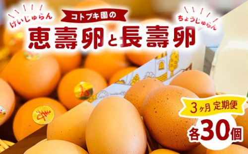 【定期便3ヶ月】当社自慢の卵 長壽卵 30個入り＆恵壽卵 30個入り | 卵 たまご タマゴ ちょうじゅらん けいじゅらん 鶏卵 玉子 国産 定期便 3ヶ月 3か月 3カ月 先行予約 先行受付　※離島への配送不可 2845047 - 神奈川県相模原市