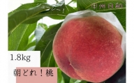 農家直送！朝採れ桃 1.8kg【2024年発送】（KSB）B15-175