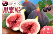いちじく 黒蜜姫 300g×4パック [JAはくい押水いちじく部会 石川県 宝達志水町 38601415] イチジク 無花果 いちぢく イチヂク フルーツ 果物 くだもの ビオレソリエス ふるさと納税 ふるさと