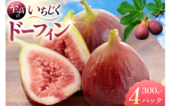 いちじく ドーフィン 300g×4パック [JAはくい押水いちじく部会 石川県 宝達志水町 38601414] イチジク 無花果 いちぢく イチヂク フルーツ 果物 くだもの ふるさと納税 ふるさと