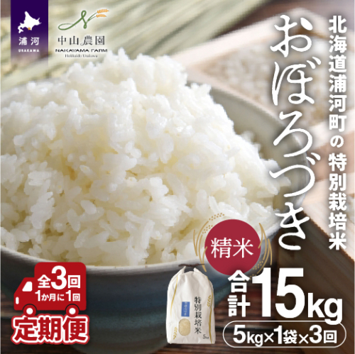北海道浦河町の特別栽培米「おぼろづき」精米(5kg×1袋)定期便(全3回)[37-1491] 2845252 - 北海道浦河町