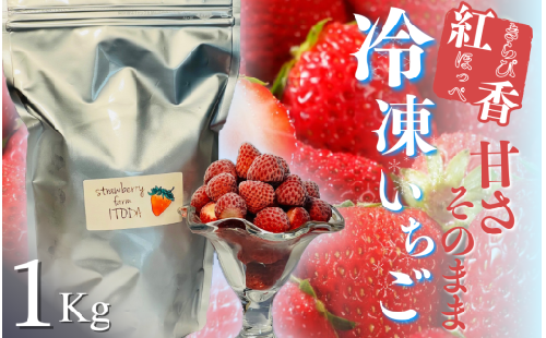 地元JA品評会金賞受賞　冷凍イチゴ1Kg　【 いちご 果物 冷凍いちご フルーツ 苺 イチゴ 冷凍 果物 フローズン くだもの 大容量 静岡県産 期間限定 】　<AO-1>