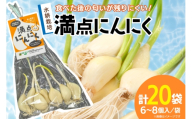 にんにく 満点にんにく 6～8個入 20袋 [グローアップ 愛知県 岡崎市 ok23bzw550003] ニンニク 大蒜 ガーリック 発芽 野菜 やさい 丸ごと 生にんにく