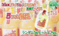 ミステリーりんごジュース 信州 飯綱産りんごジュース【 品種おまかせ 】 250ml × 5本 いいづなりんご50品種りんごジュース 泉が丘喫茶室 沖縄県への配送不可 飲料 果汁飲料 りんご リンゴ 林檎 ジュース 100% ストレート 50品種 いいづなコネクト EAST 長野県 飯綱町 [2151]