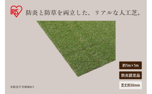 防炎防草人工芝 1ｍ×1ｍ BPB-3011 2848097 - 宮城県大河原町