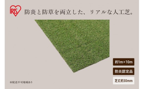 防炎防草人工芝 1ｍ×10ｍ BPB-30110 2848100 - 宮城県大河原町