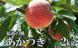 福島市の北部、飯坂町東湯野産。 東湯野は土壌改良材にも使用されるミネラル分を豊富に含んだ土地で、味の良さはすこぶる定評がある！※桃は非常にデリケートな果物です。輸送時の痛みを防ぐため、硬めの状態で発送