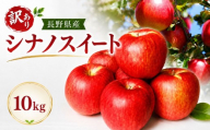 【訳あり】長野県産 シナノスイート 約10kg ＜2026年10月上旬～10月下旬発送＞｜果物 くだもの フルーツ りんご リンゴ 林檎 シナノスイート 訳あり わけあり 長野県 信州 南信州 飯田市