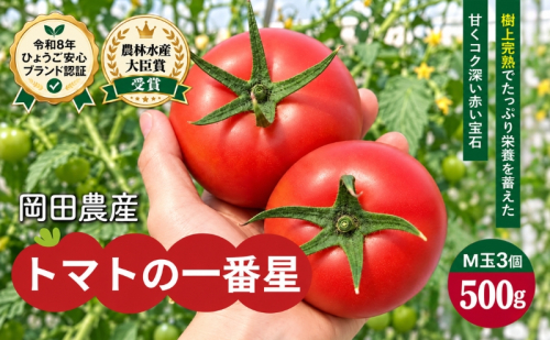 トマト 500g トマトの一番星 野菜 とまと 完熟 高糖度 甘い 受賞 冷蔵配送 2848320 - 兵庫県加西市