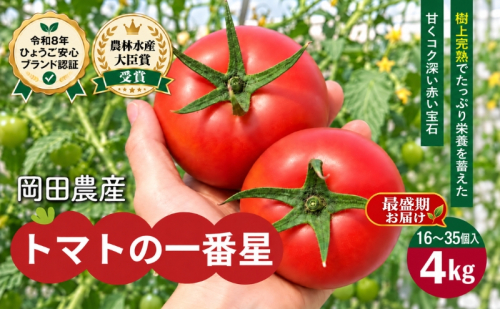 【最盛期お届け】トマト 4kg(家庭用) トマトの一番星 野菜 とまと 完熟 高糖度 甘い 受賞 冷蔵配送 2848325 - 兵庫県加西市