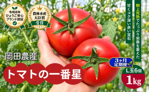 【3ヶ月定期便】トマト 1kg トマトの一番星 野菜 とまと 完熟 高糖度 甘い 受賞 冷蔵配送 2848326 - 兵庫県加西市