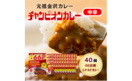 ＜66(ロクロク)企画限定商品＞チャンピオンカレーレトルト中辛246g×40個セット【1735938】