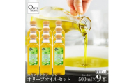 エキストラバージンオリーブオイル 500ml×9本【1776890】