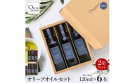 エキストラバージン(EXV)オリーブオイル3本入ギフト2セット(120ml×3本×2)【1776955】
