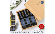 エキストラバージン(EXV)オリーブオイル3本入ギフト3セット(120ml×3本×3)【1776959】