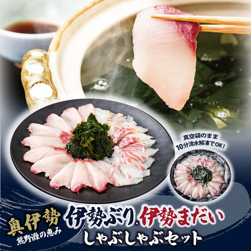 （冷凍）【１月第４週発送】伊勢ぶり 伊勢まだい しゃぶしゃぶ セット 食べ比べ 選べる配送月 約200g ／ 2人前 3人前 鰤 ブリ 真鯛 鯛 タイ ひろめ付 冷凍 年内配送 年末 お取り寄せ 海鮮 魚 ギフト 鍋 海産物 水産物 三重県 大紀町 2849480 - 三重県大紀町