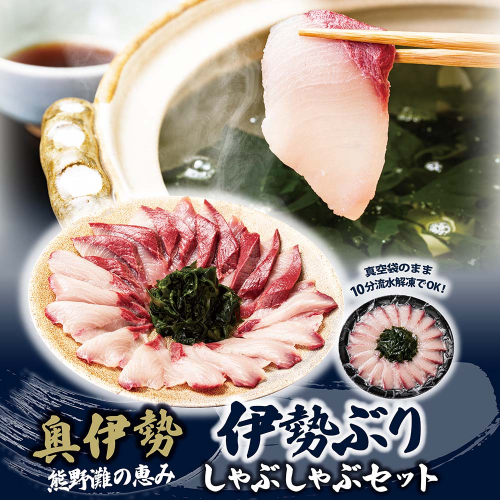 （冷凍）【１月第４週発送】伊勢ぶり しゃぶしゃぶ セット 選べる配送月 約200g ／ 2人前 3人前 鰤 ブリ ひろめ付 冷凍 年内配送 年末 お取り寄せ 海鮮 魚 ギフト 鍋 海産物 水産物 三重県 大紀町 2849497 - 三重県大紀町