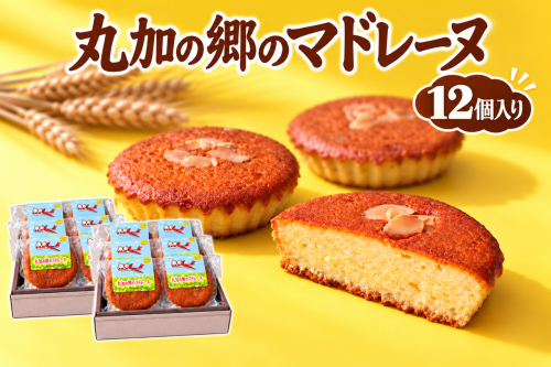 丸加の郷のマドレーヌ 12個入り 個包装｜北海道 滝川市 バター 焼き菓子 スイーツ 洋菓子 お菓子 北海道産小麦 きたほなみ おやつ ティータイム 贈り物 ギフト 手土産 お土産 プレゼント お取り寄せ 2849516 - 北海道滝川市