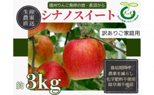 【訳あり】ヤーミーズファーム　生産農家直送 人にやさしい 長沼りんご・シナノスイート3kg（ご家庭用） |  りんご 林檎 フルーツ 果物 シナノスイート 家庭用 長沼 おすすめ 人気 送料無料 長野県 長野市 信州 信濃 ふるさと納税 2849518 - 長野県長野市