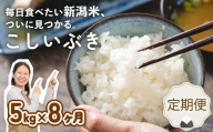 新潟 米 定期便 令和8年産 新潟県産 こしいぶき 5㎏×8か月 新潟県 新潟産 新潟米 新発田産 新発田 お米 米 こしいぶき とんとん市場 せいだ 5kg 40kg 8か月 定期便 数量限定 玄米 とんとん市場のお米 seidaKI007