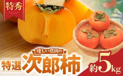 次郎柿 約5kg【優しい農園の特選次郎柿】 [YSN-02] 柿 かき カキ 次郎柿 フルーツ fruit 果物 くだもの 食品 旬 甘柿 デザート お取り寄せ ギフト 産地直送 贈答品 特産品 お礼品 グルメ 国産 人気 おすすめ 秋の味覚 旬のフルーツ プレゼント 三重県 多気町  2849767 - 三重県多気町
