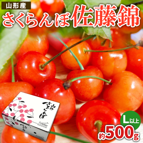 さくらんぼ 佐藤錦 L以上 約500g【令和9年産先行予約】FS26-621 2849830 - 山形県山形市
