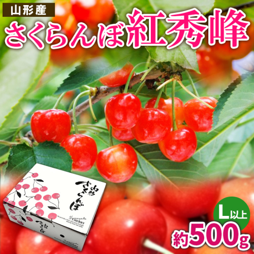 さくらんぼ 紅秀峰 L以上 約500g【令和9年産先行予約】FS26-622 2849831 - 山形県山形市