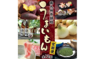 【発送月固定定期便】南九州市頴娃うまいもん定期便全12回【4014841】
