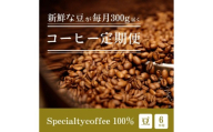 [定期1ヶ月毎6回]毎月違うスペシャルティコーヒー 300g（豆のまま） コーヒー 珈琲 コーヒー豆 珈琲豆 レギュラーコーヒー 豆 カフェ 定期便