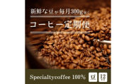 [定期1ヶ月毎12回]毎月違うスペシャルティコーヒー 300g（豆のまま） コーヒー 珈琲 コーヒー豆 珈琲豆 レギュラーコーヒー 豆 カフェ 定期便
