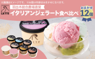 LATTEのカップジェラート詰め合わせ＜おまかせ＞全12個【1747546】