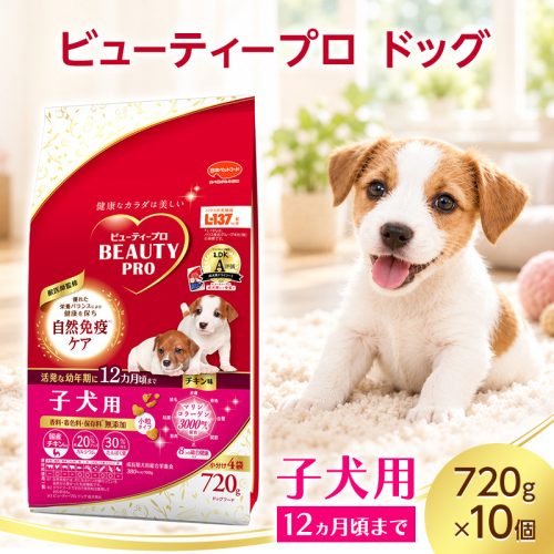 ビューティープロ ドッグ 子犬用 12ヵ月頃まで 720g ケース販売 ペットフード 犬 愛犬 ペット ペット用品 犬用 愛犬用 子犬用 ごはん 静岡 袋井市 2851057 - 静岡県袋井市