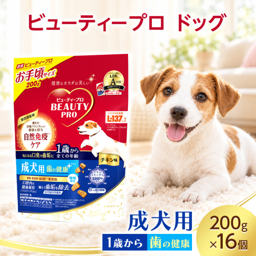 ビューティープロ ドッグ 歯の健康 1歳から 200g ケース販売 ペットフード 犬 愛犬 ペット ペット用品 犬用 愛犬用 ごはん 静岡 袋井市 2851060 - 静岡県袋井市