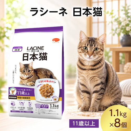 ラシーネ 日本猫 11歳以上 1.1kg ケース販売 ペットフード 猫 ネコ ねこ キャット ペット 静岡 袋井市 2851092 - 静岡県袋井市