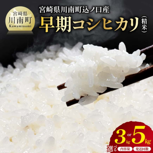 ※選べる内容量・発送回数※　宮崎県産　早期コシヒカリ（精米）3kg/5kg 【 令和8年産 米 お米 白米 精米 国産 宮崎県産 こしひかり おにぎり 】 2851196 - 宮崎県川南町