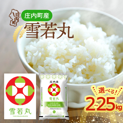 【令和8年産】庄内町産 雪若丸 2kgから25kg 選べる内容量 2026年産 ブランド米 米 国産 単一原料米 山形 庄内平野 2851461 - 山形県庄内町