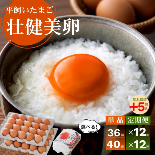 【ふるさと納税】平飼いたまご 三瀬ひなた鶏舎 「壮健美卵」選べる40個or36個（割れ補償5個含む）　定期便あり！ 2851492 - 佐賀県佐賀市