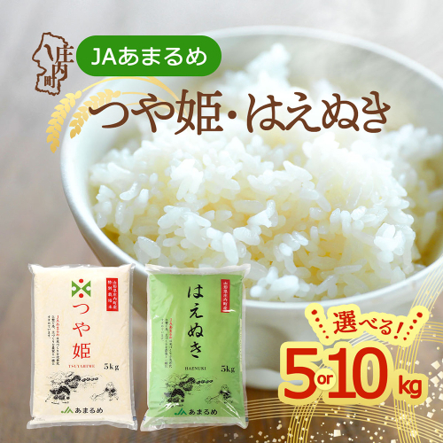 【令和8年産】JAあまるめ 特別栽培米 つや姫 はえぬき 5kgから10kg 選べる品種 内容量 食べ比べ 2026年産 ブランド米 米 山形 庄内平野 山形県 庄内町産 2851495 - 山形県庄内町