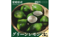 ＜グリーンレモン 合計約3kg＞『2026年9月上旬～11月下旬迄に順次出荷予定』訳あり わけあり 訳アリ ワックス不使用 皮まで使える れもん 果汁 果物 くだもの フルーツ 柑橘 まろやかな酸味 すっきり 爽やかな香り NOT FARM 愛媛県 西予市 【常温】